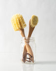 Tampico Fibre Dish Brushes
