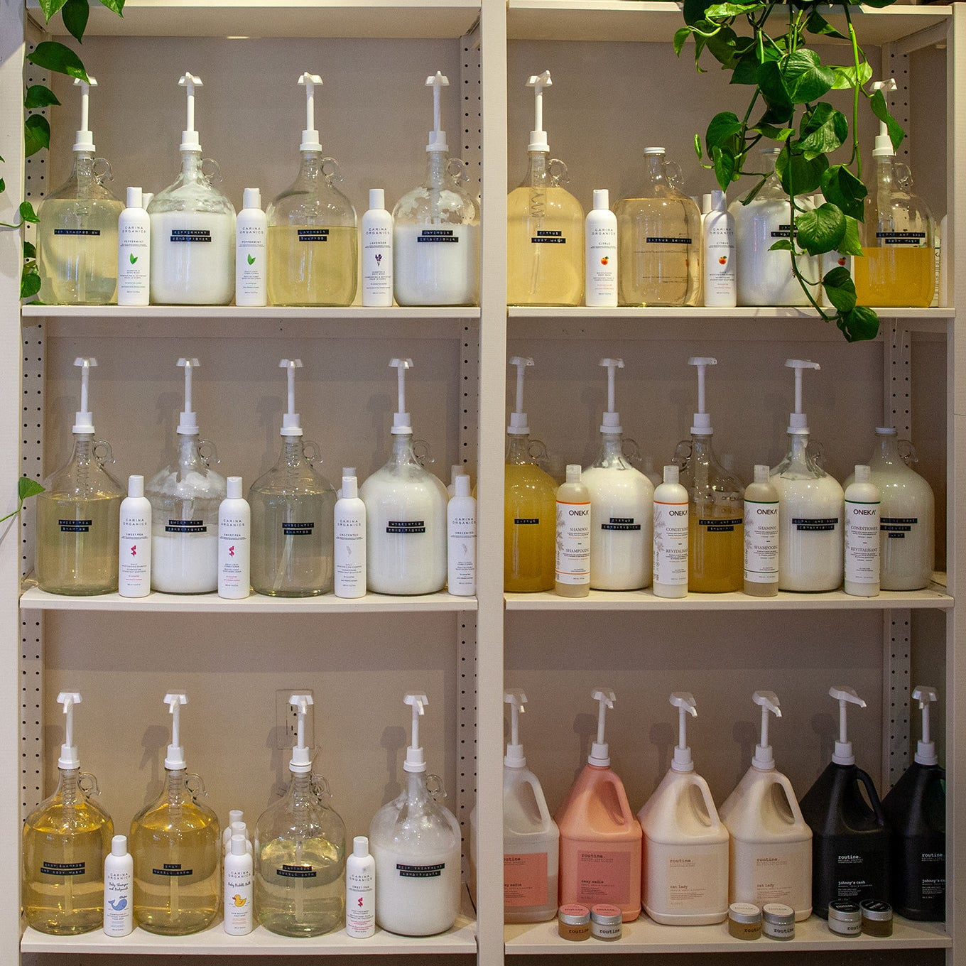 Shelves with various bottles and containers on a neutral background