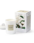 Theorie Botanique Candle