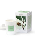 Theorie Botanique Candle