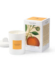 Theorie Botanique Candle