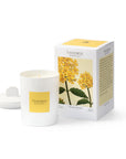 Theorie Botanique Candle