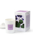 Theorie Botanique Candle