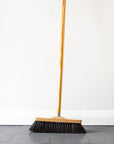 Horsehair room broom