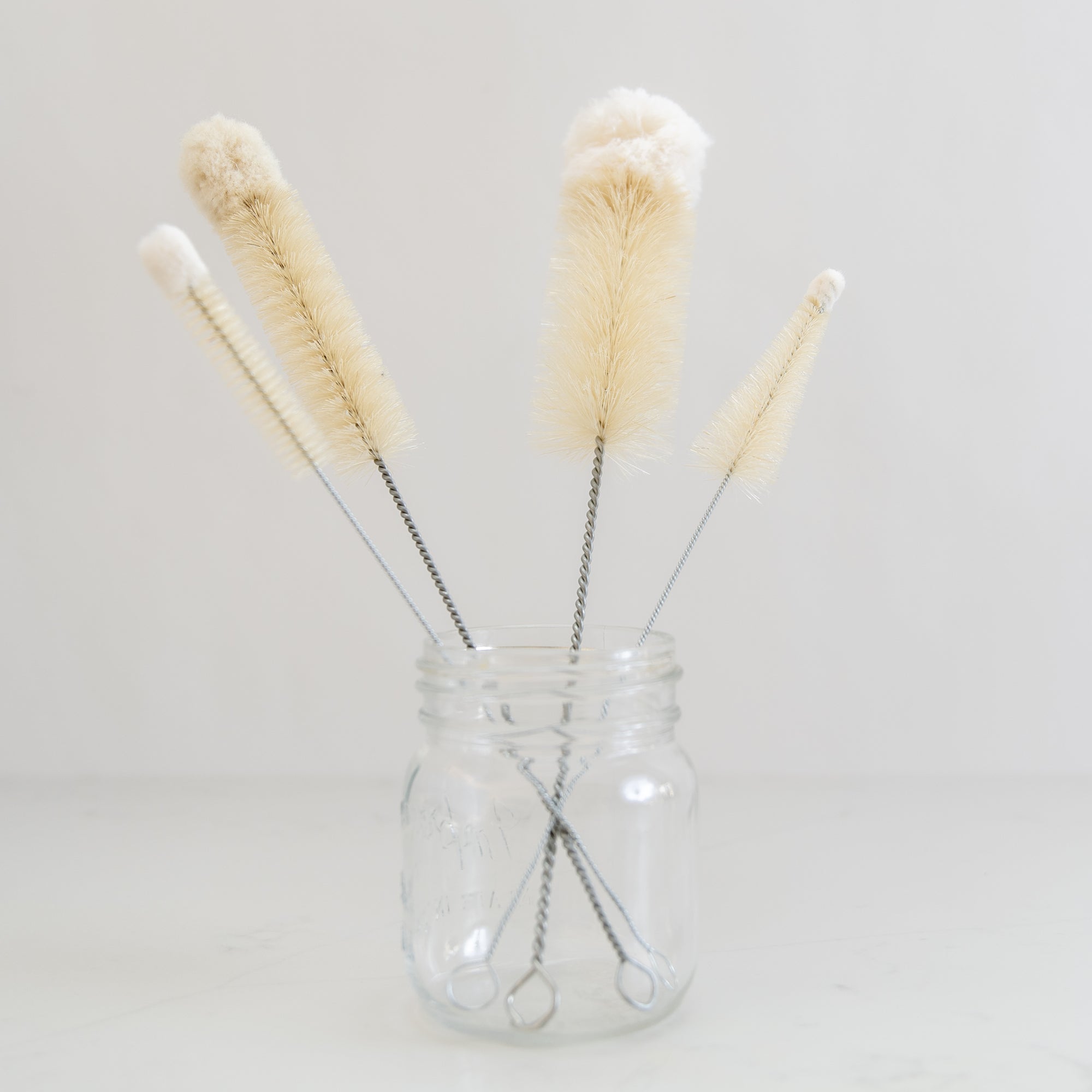 Bottle Brushes